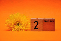 12月木块与黄色的黛西橙色背景