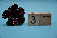 2月木块与紫色的佩妮蓝色的背景