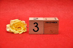 12月木块与黄色的玫瑰红色的背景