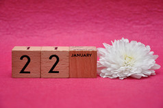 1月木块与白色Aster粉红色的背景