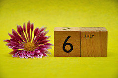 7月木块与粉红色的和白色Aster黄色的背景