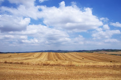 景观与收获小麦场alentejo地区葡萄牙
