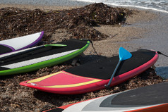 色彩斑斓的董事会指定的为站冲浪的海滩与桨