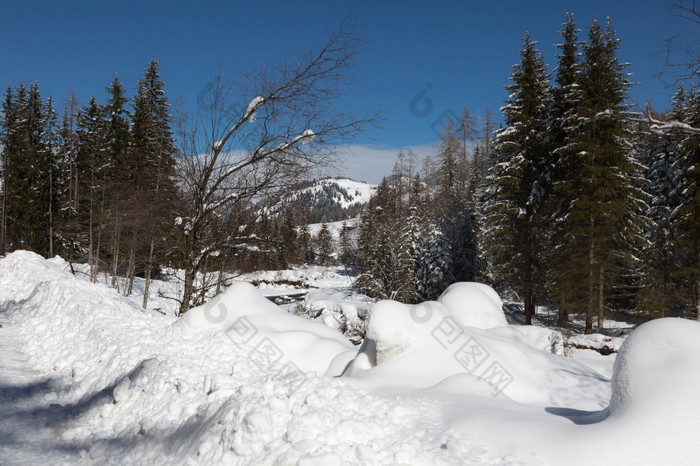 美丽的一天的山与白雪覆盖的冷杉树和雪山全景美丽的一天的山与白雪覆盖的冷杉树和雪山全景
