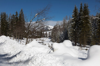 美丽的一天的山与白雪覆盖的冷杉树和<strong>雪山</strong>全景美丽的一天的山与白雪覆盖的冷杉树和<strong>雪山</strong>全景