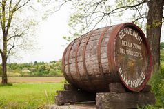 老桶指示的开始葡萄酒区域细葡萄的登记的桶说欢迎的酒国家ramandoloramandolo非常细意大利酒