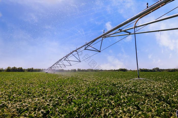 大豆场灌溉主喷水灭火系统系统作物灌溉使用
