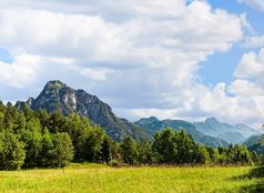 田园景观的阿尔卑斯山脉与新鲜的绿色梅多斯