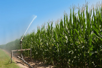 农业设备设备泵水场玉米水喷水灭火系统
