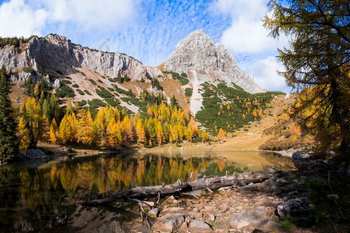 色彩斑斓的秋天早....的山色彩鲜艳的秋天早....山湖色彩斑斓的秋天景观湖borfaglia绿意盎然意大利