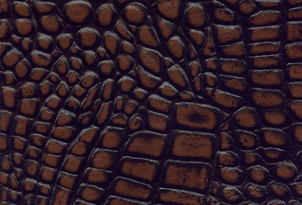 棕色（的）而且黑色的鳄鱼皮革纹理