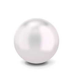 单珍珠插图孤立的白色背景