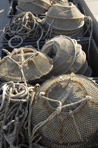 设备和钓鱼绳子网和浮点数放置的码头设备和钓鱼绳子网和浮点数安排