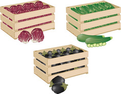 盒式磁带与茄子西葫芦和小萝卜木盒子与混合蔬菜