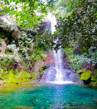 catarata隐藏林康老国家公园ganacaste科斯塔黎加