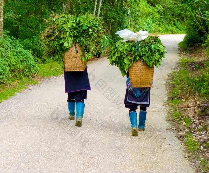 宣泄苗族村附近萨帕耳环北山越南老挝蔡越南