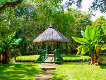 先生seewoosagur拉姆古兰植物花园pamplemousses毛里求斯岛