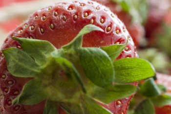 新鲜的草莓特写镜头成熟的红色的草莓与叶子特写镜头