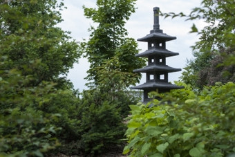 区域的日本花园与雕塑在的树日本花园夏天与高耸的树雕塑