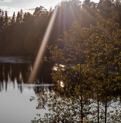 太阳眩光和的射线的太阳的树和的湖拍摄背光