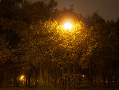 灯笼照亮小巷晚上公园