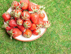 小板填满与新鲜的红色的草莓草板与草莓绿色草