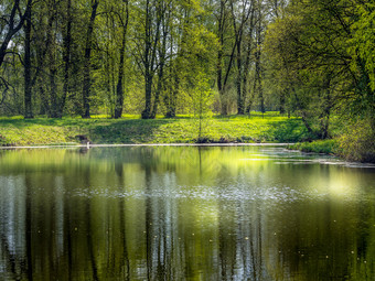 美丽的湖与森林反射阳光明媚的春天一天国家春天景观的海岸的湖的公园阳光明媚的春天一天