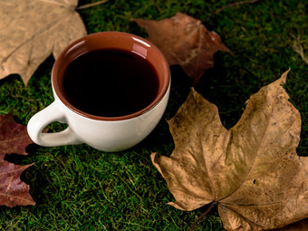 杯茶包围秋天叶子绿色草