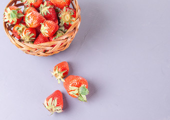 小篮子与收集草莓紫色的背景篮子与红色的草莓