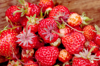 桩收集新鲜的草莓与绿色叶子的收获作物新鲜的草莓板