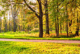 快乐与树和<strong>走路</strong>径的公园秋天公园的公园阳光明媚的一天