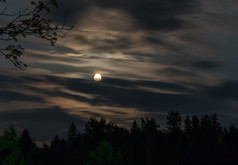 动态云晚上在的森林完整的月亮长曝光拍摄晚上拍摄的月亮的云