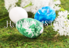 复活节鸡蛋和白色花的草的概念复活节