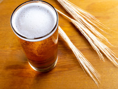 玻璃啤酒与耳朵小麦木背景杯子啤酒与小麦耳朵木表格