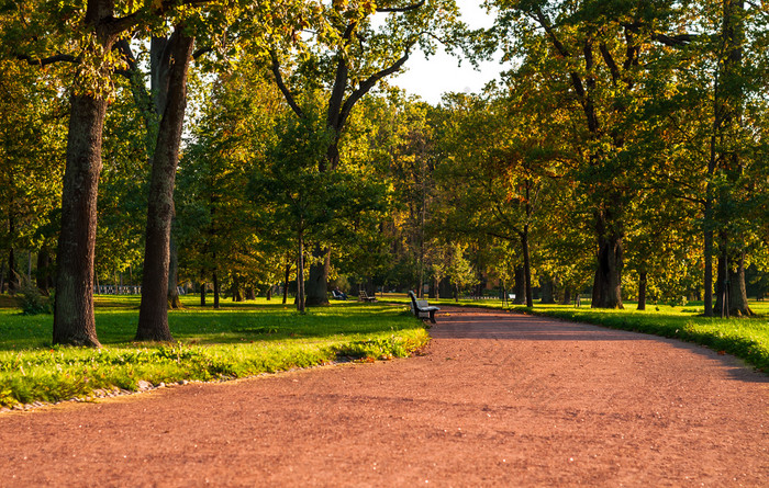 小巷与白色公园长椅早期秋天公园早期秋天小巷的公园