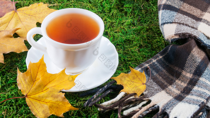 杯与茶和围巾绿色草与秋天叶子杯子与茶绿色草与黄色的叶子