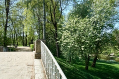 石头桥和栏杆与鹅卵石路径栏杆的老桥的公园