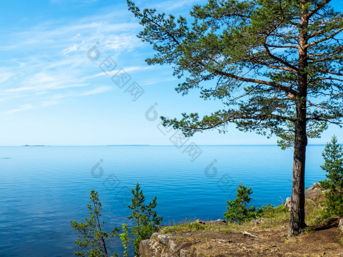 松的岩石海岸的湖清晰的阳光明媚的一天的水平静蓝色的的天空万里无云的蓝色的岩石海岸的湖松柏科的森林的岩石