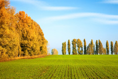 秋天风景与冬天小麦场