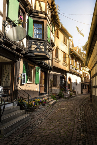 色彩斑斓的halftimbered房子沿着狭窄的街与鹅卵石的中世纪的小镇eguisheim阿尔萨斯地区法国