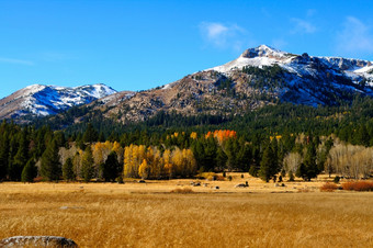 秋天季节的,祭祀早期降雪涵盖了的山的距离与各种各样的树叶秋天颜色的前景位于希望谷加州