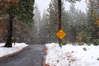 学校公共汽车停止标志和风暴单车道路与标志通知那在那里学校公共汽车停止之前的冬天时间与重雪开始秋天