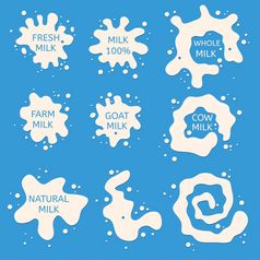 向量牛奶飞溅集合白色溅孤立的蓝色的背景设计为乳制品产品插图与文本关于牛奶