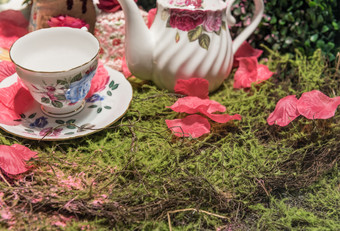 豪华的奶油茶野餐聚会，派对场景与花花瓣和老成形<strong>瓷质</strong>茶集