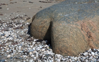 片麻岩岩石形状的成人类身体部位特写镜头船体海滩法尔肯贝里瑞典