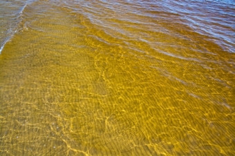 黄色的海洋水变色清洁沉积物黄色的海洋水变色清洁沉积物从的atran河附近的