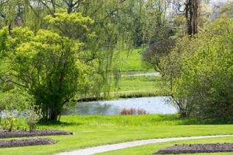 绿色春天景观绿色春天景观与郁郁葱葱的和新鲜的植被瑞典五月