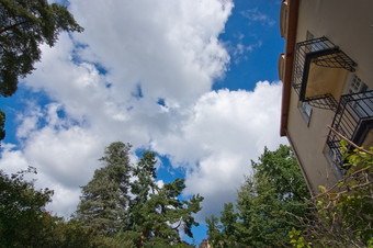 绿色植被和夏天云蓝色的天空绿色植被和夏天云蓝色的天空斯德哥尔摩瑞典8月