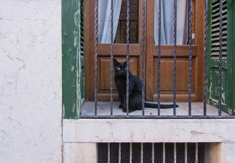 黑色的猫<strong>阳台</strong>黑色的猫<strong>阳台</strong>马略卡岛巴利阿里群岛岛屿西班牙