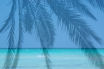 帆伞运动蓝色的海洋棕榈景观绿<strong>松石</strong>水蓝色的海洋棕榈景观绿<strong>松石</strong>水和地平线mallorac西班牙